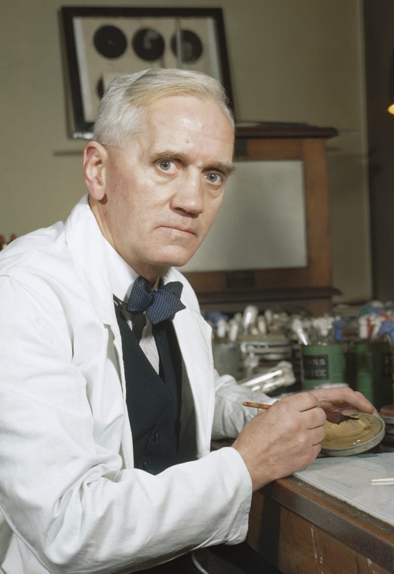 Alexander Fleming at his laboratory bench at St Mary's Hospital, Paddington, holding a culture dish.
