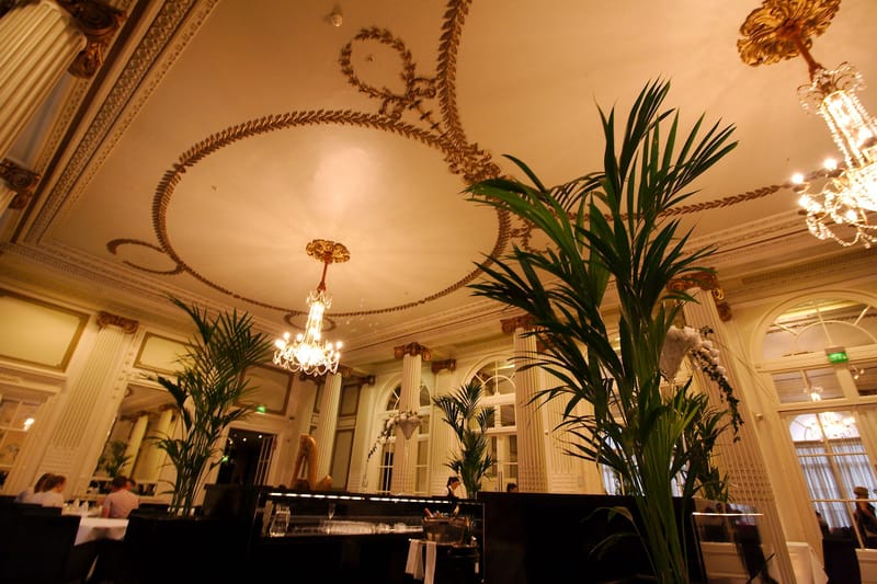 The Palm Court of the Waldorf Hilton, with chandeliers and palm trees beneath an ornate ceiling.